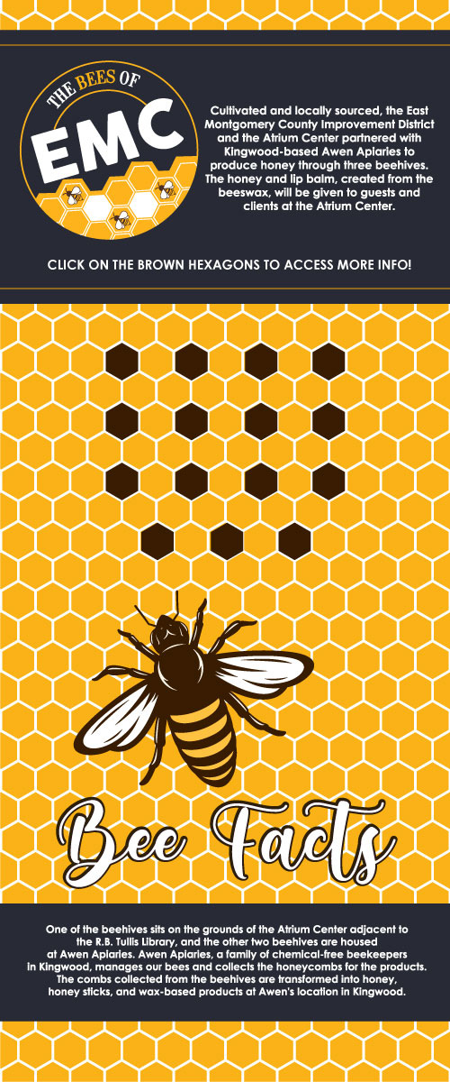 The Bees of EMC